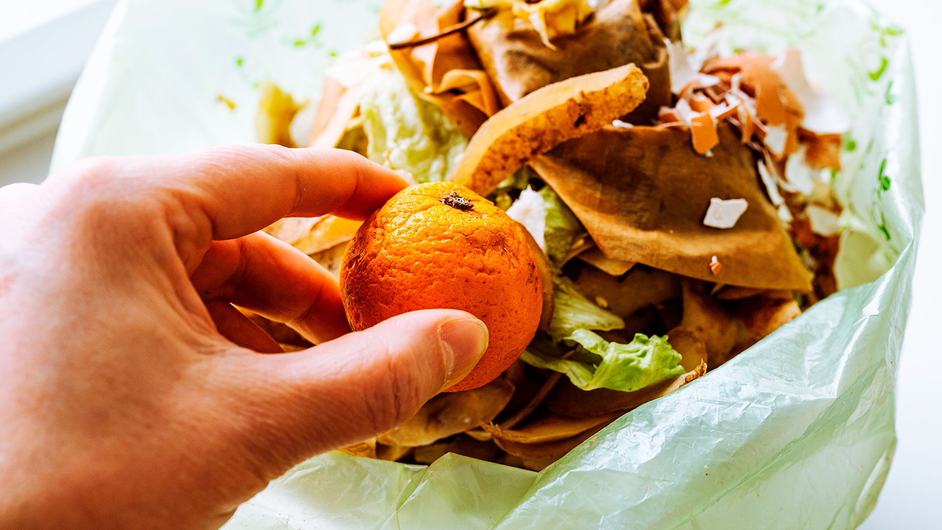 Qual o papel da Nanotecnologia na redução do desperdício de alimentos?