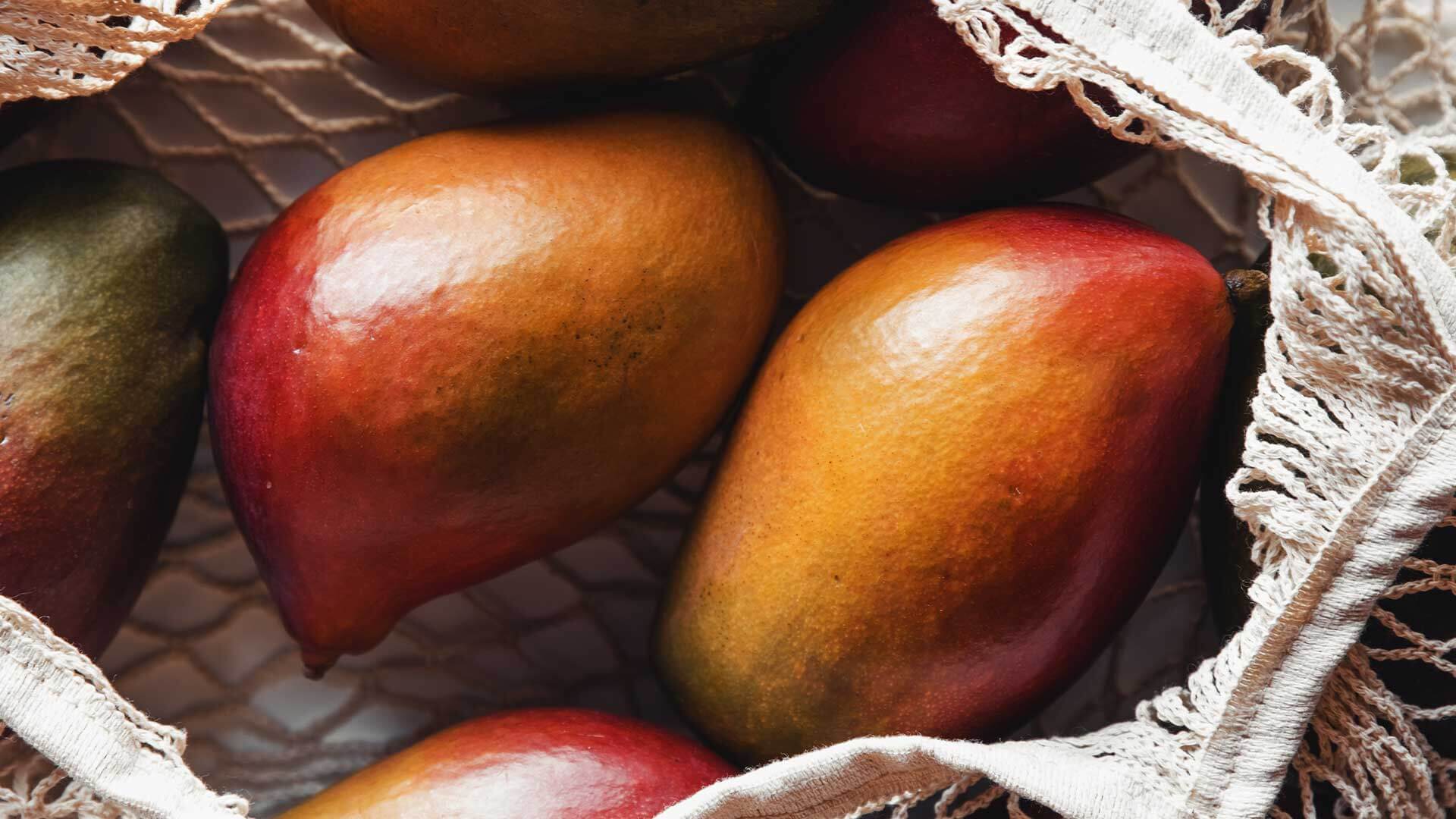 Conheça os revestimentos Nanofood adequados ao seu tipo de cultivo