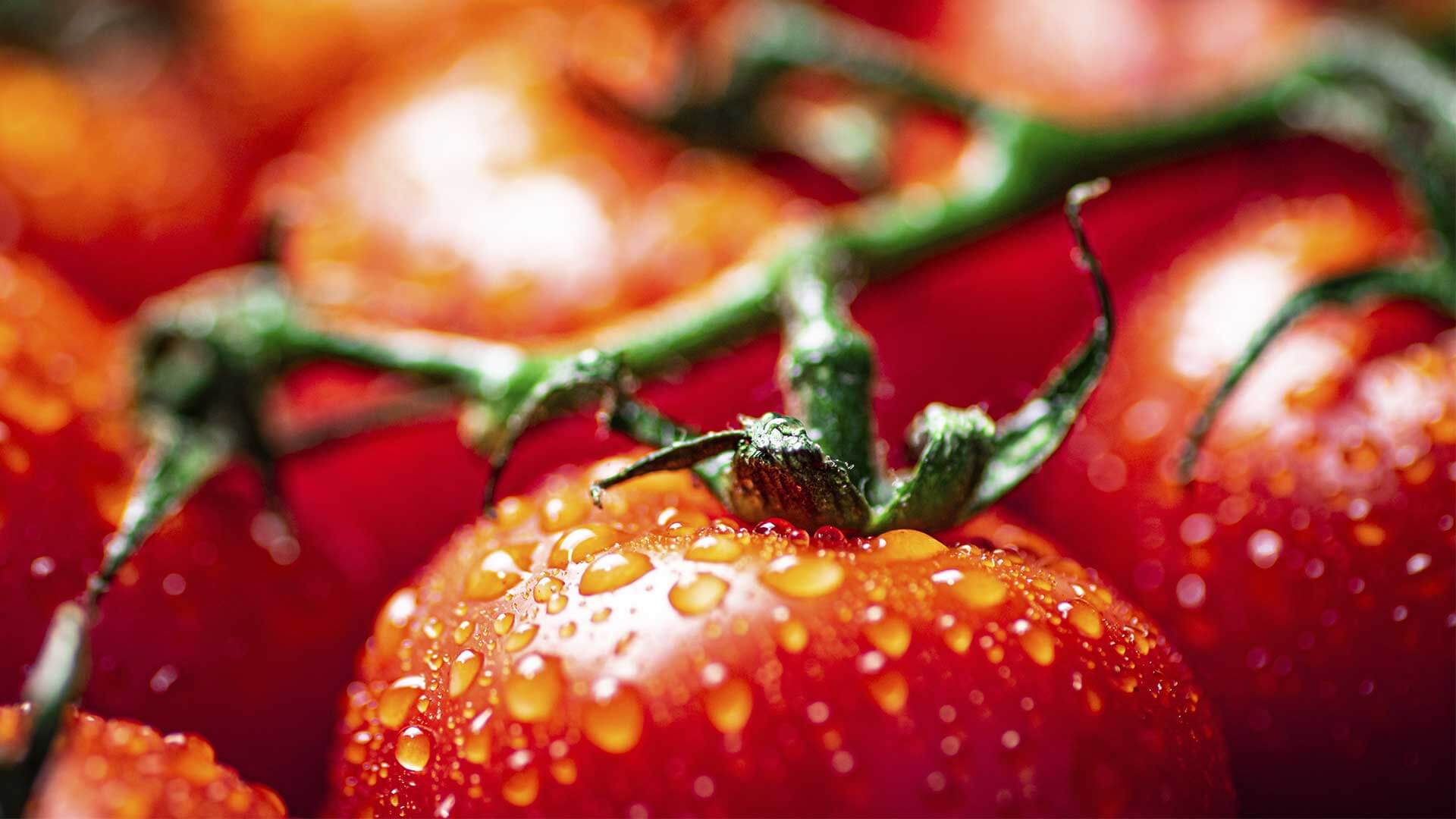 Revestimentos alimentares com Nanotecnologia: entenda a ciência por trás dessa solução