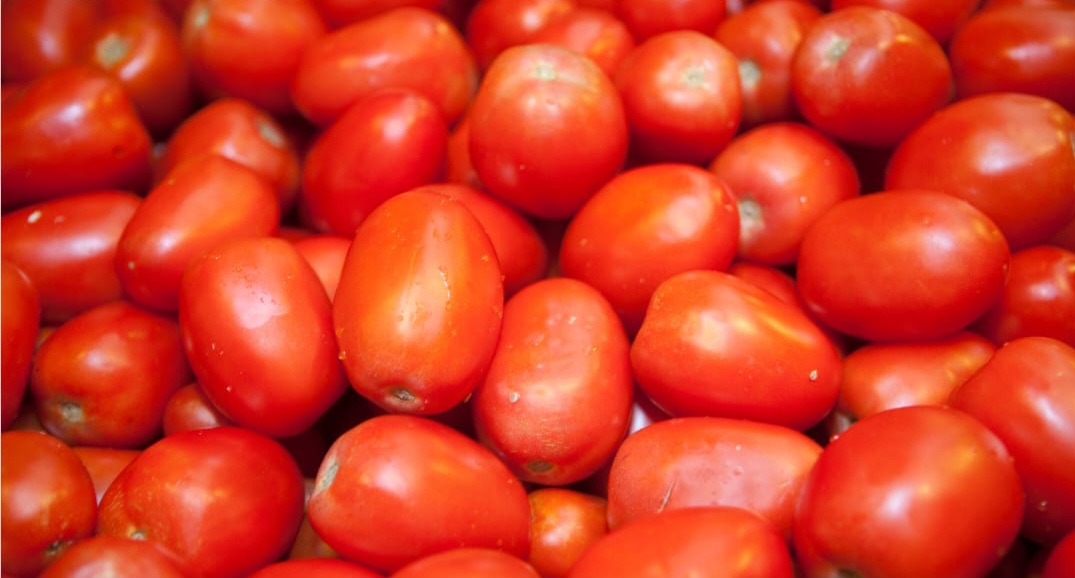 O que acontece logo após a colheita